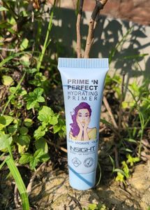Insight Primer