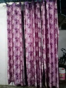 Purple Curtains 6