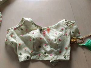Elegant Pastel Lehenga Choli