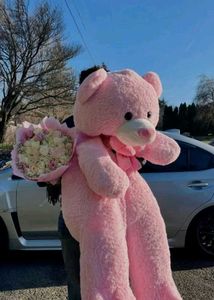 Giant Pink Teddy Bear