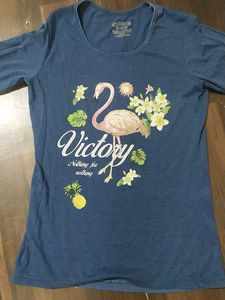 Blue Long Sleeve Top with Flamingo Print