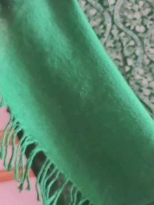 PRICE DROP : Elegant Green Ethnic woolen stole
