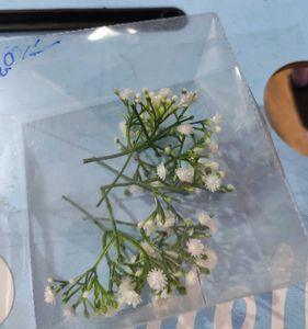 plastic white flower for hair styling