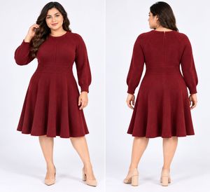 Chic Burgundy Fit & Flare Knit Dress