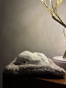 Brand New Adorable Sleeping Puppy Plush Toy