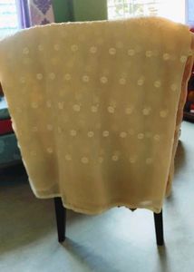 Elegant Cream &amp; Red Embroidered saree