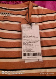 Branded T-shirt Combo