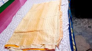 Elegant organza silk Saree