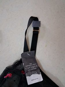 44DDD Black Embroidered Mesh Bra
