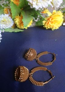 Price Dropped Ear Rings - Pack Of 6