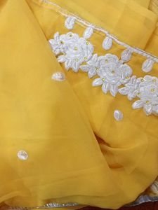Saree With Blouse