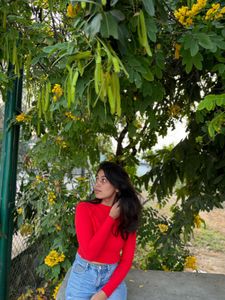 Chic Red Ribbed Crop Top