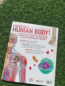 Knowledge Encyclopedia Human Body