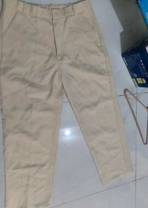 Classic Beige Casual Pants