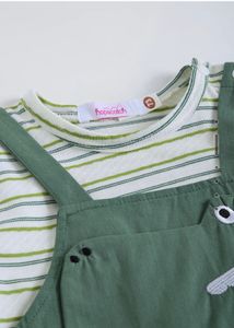 Cute Dinosaur Overalls &amp; Striped Tee Set