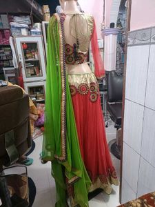 Stunning Red &amp; Green Embroidered Lehenga Choli Set