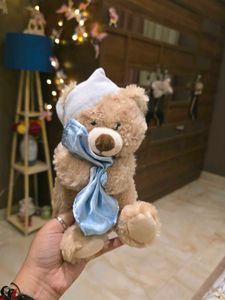 Cute Teddy Bear with Blue Scarf