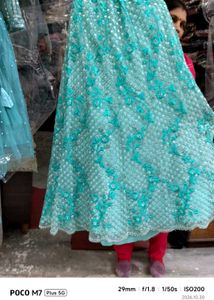 sea green lehenga Net Dupatta