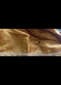 Golden Embroidered Kurta Set