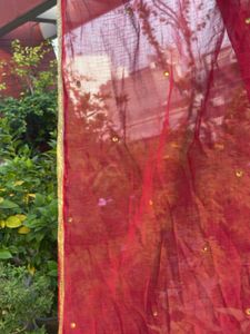 Embellished Ombre Dupatta