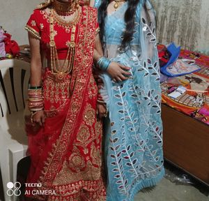 Net Saree With Work