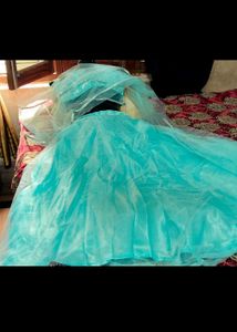 Sky Blue Embroidered Lehenga Choli