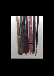7 Vintage Silk Ties Collection