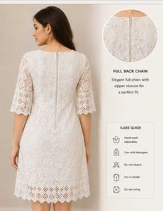 Elegant Ivory Lace Embroidered Dress