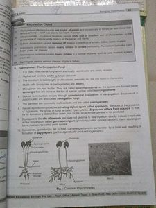 Aakash Botany Study Packages (NEET/AIIMS)