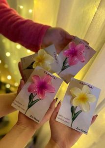 beautiful claw clips (set of 6) best for gifting