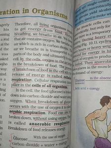 Science Textbook For Class VII