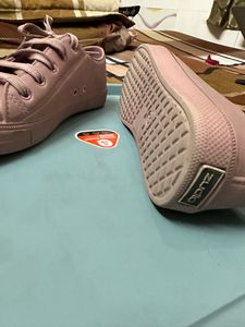 Zudio Mauve Color Shoes