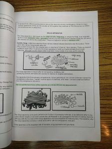 Class 11 Biology Notes – Cell: The Unit of Life
