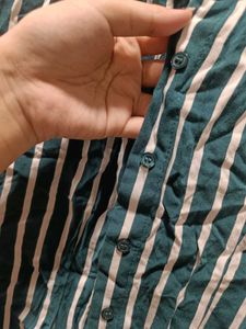 Striped Button-Down Shirt