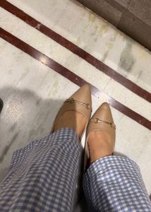 Nude Pointed Toe Flats