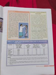 Understanding Economic Development Textbook