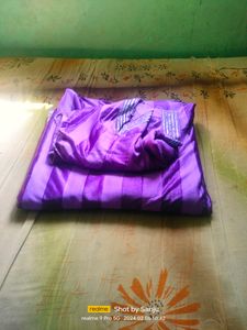 Ram Leela Sarees