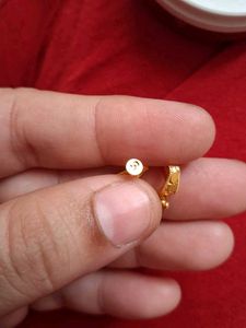Elegant Gold  Stud Earrings
