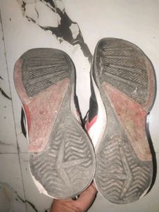 Orginal Bacca Bucci Stylish Shoes