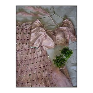 Elegant  Lehenga Choli Set✨