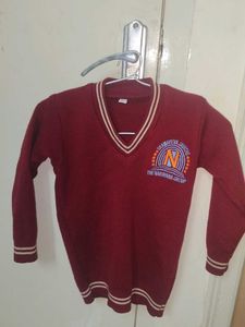 Maroon V-Neck Sweater
