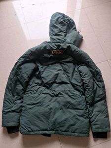 Green Hooded Winter Parka