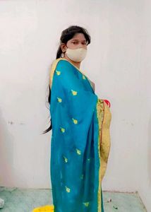 Soft Satin Shining Saree