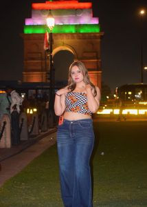 Stylish Butterfly Print Crop Top