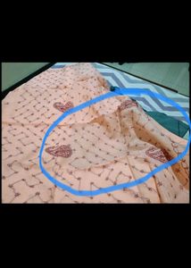 Original Chikankari Lucknavi Saree