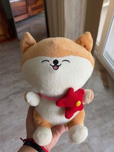 Cute Stuffed Shiba Inu Plush Toy