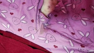 Cute Bunny Pyjama Set