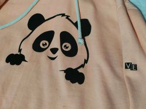 Thick Cloth Casual Winter Wear, Hoodie.