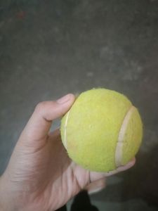 Cricket Ball