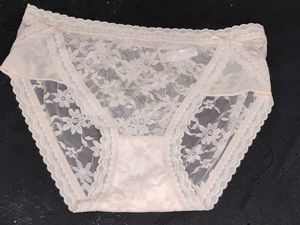 Delicate Lace Briefs